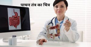 पाचन तंत्र का चित्र 